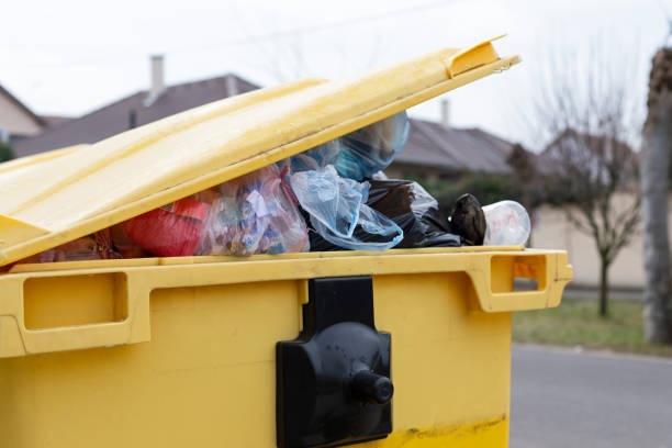 Professional Junk Removal in Savannah, MO